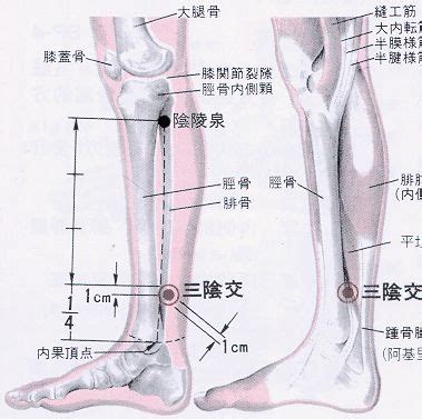 通天穴|医砭 » 经穴库 » 通天